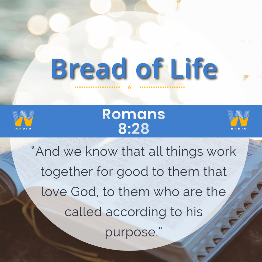 Wayvve Radio Daily Bread Romans 8:28